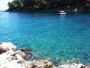 CIMG0056