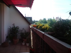 Mein Balkon
